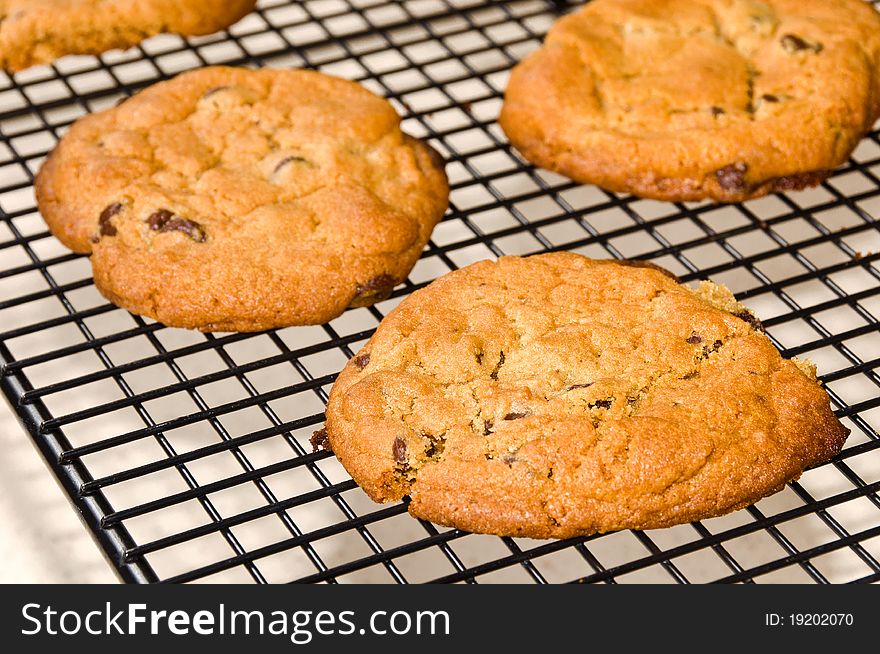 Chocolate Chip Cookies on a Black Metal Cooling Rack