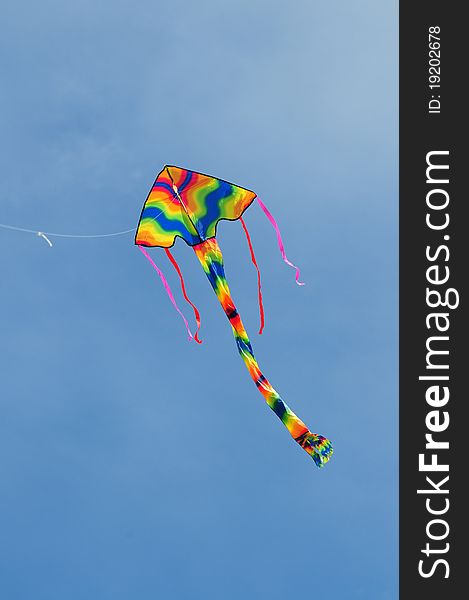 Colorful kite in the skies