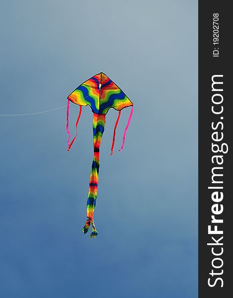 Colorful kite in the skies