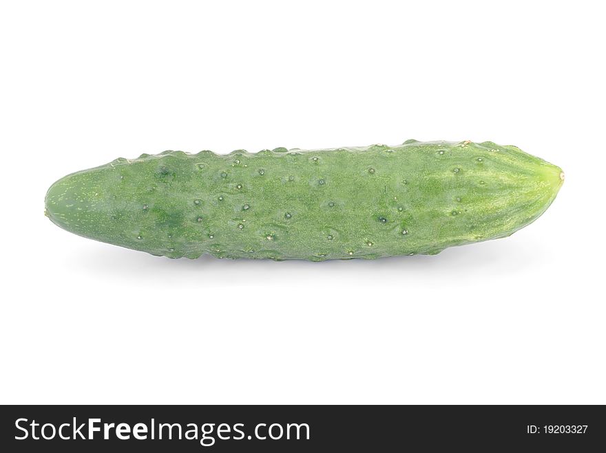 Whole cucumber isolated on the white background. Whole cucumber isolated on the white background