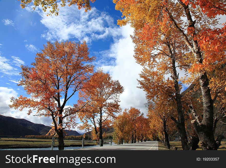 Daocheng's Autumn