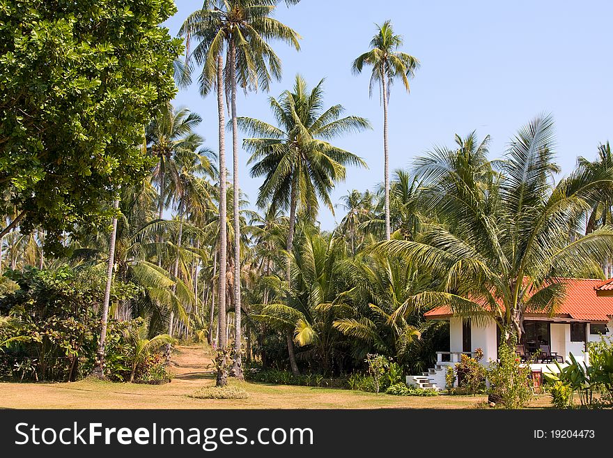 Beautiful resort garden at koh mak island thailand