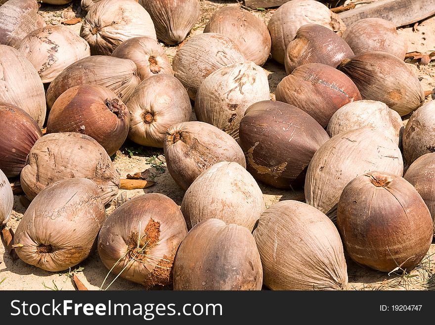 Coconut closeup. Useful as background for design-works. Coconut closeup. Useful as background for design-works.