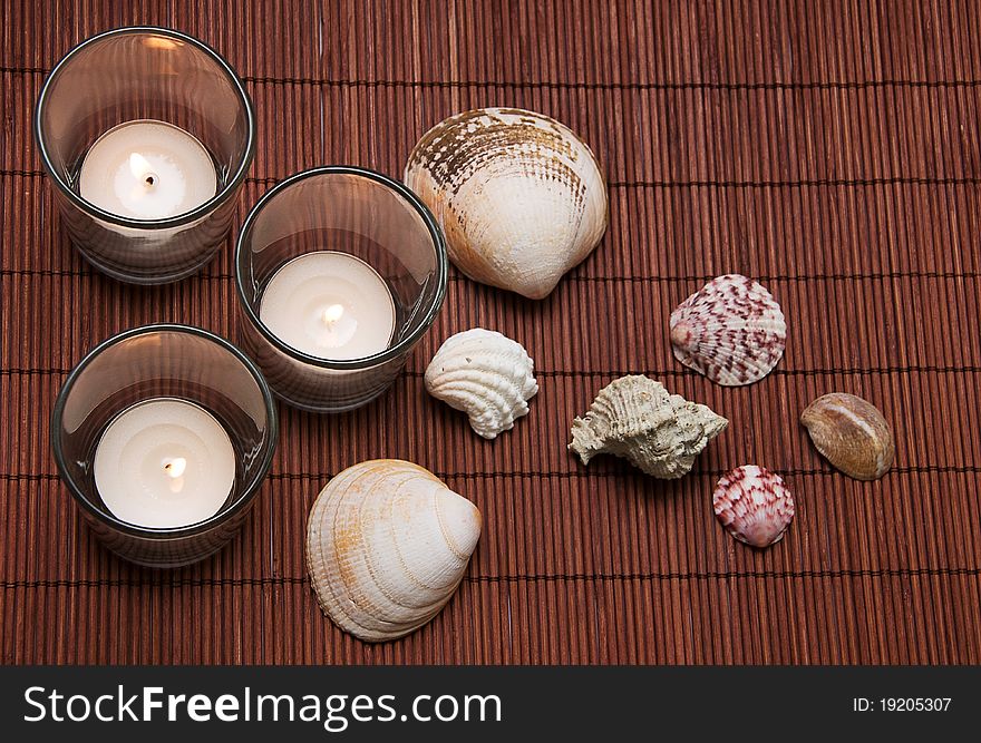 Candles With Seashells