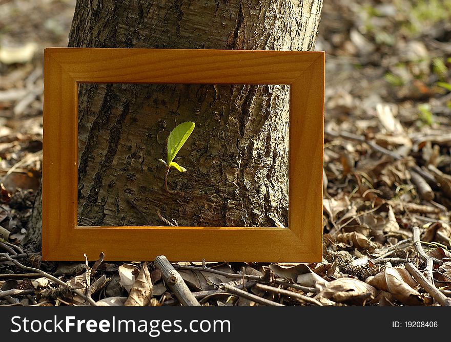 The brown wood frame on the ground