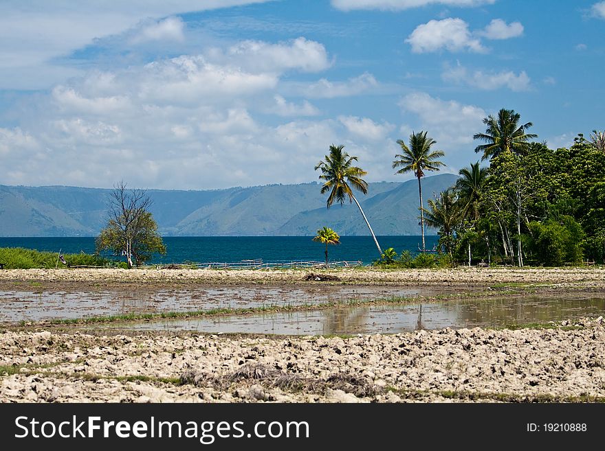 Lake Toba landscape, Samosir island, Sumatra, Indonesia
