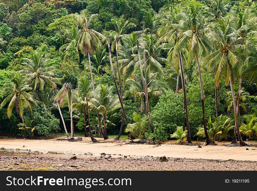 Tropical beach, koh Chang, Thailand