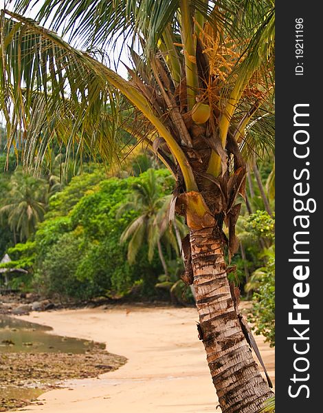 Tropical beach, koh Chang, Thailand