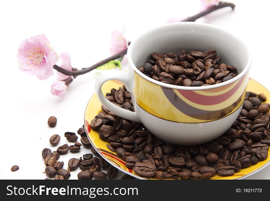 Coffee beans in the coffee cup with blossom