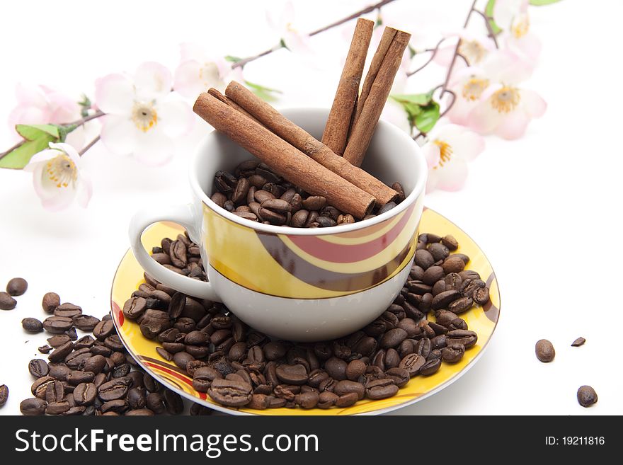 Coffee beans in the cup with cinnamon poles