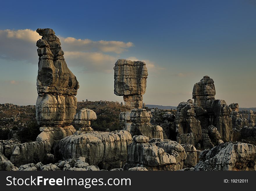 Stone Forest