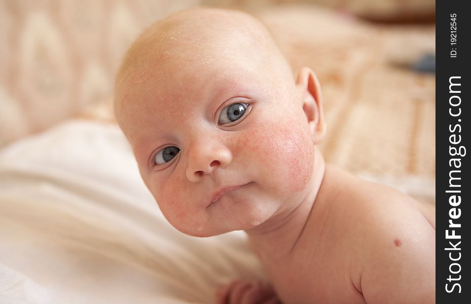 Newborn Baby  Boy -Inquiring Look
