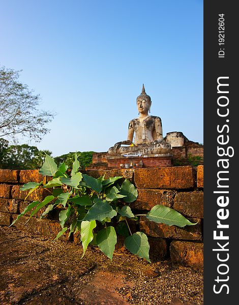 Bodhi tree, Wat Maechon in Thailand, Sukhothai historical city. A world heritage site. Bodhi tree, Wat Maechon in Thailand, Sukhothai historical city. A world heritage site.