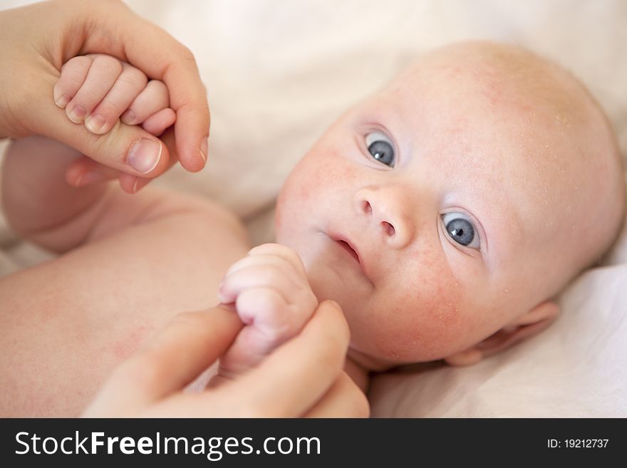 Newborn Baby  Boy -in The Hands Of The Mother