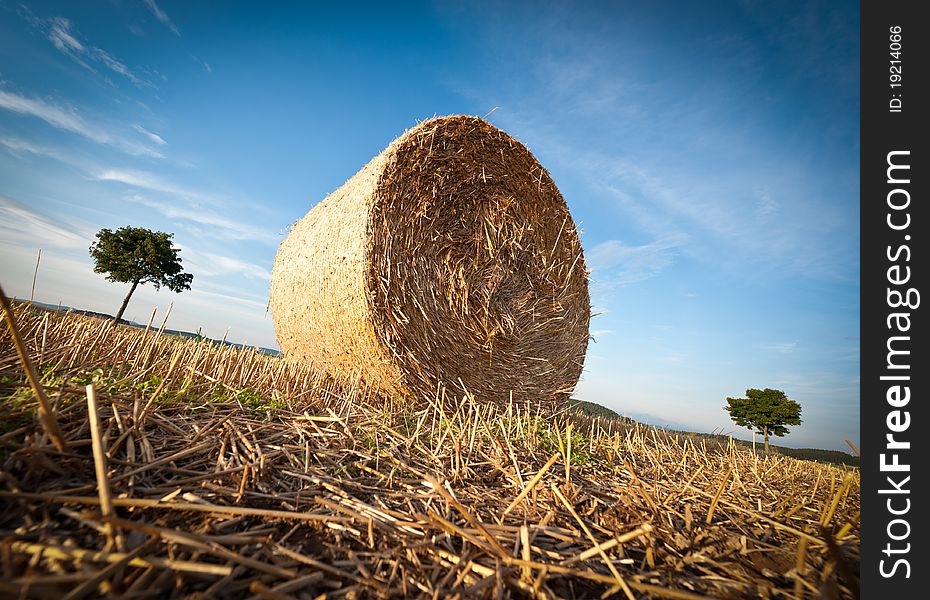 Hay Bale On The Late Afternoon