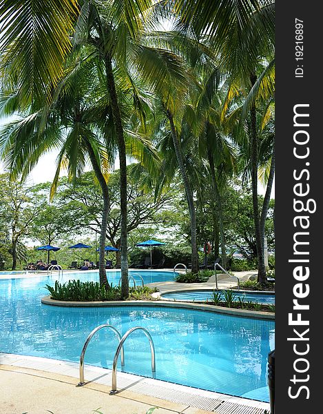 A beautiful swimming pool in five star hotel,Malaysia.