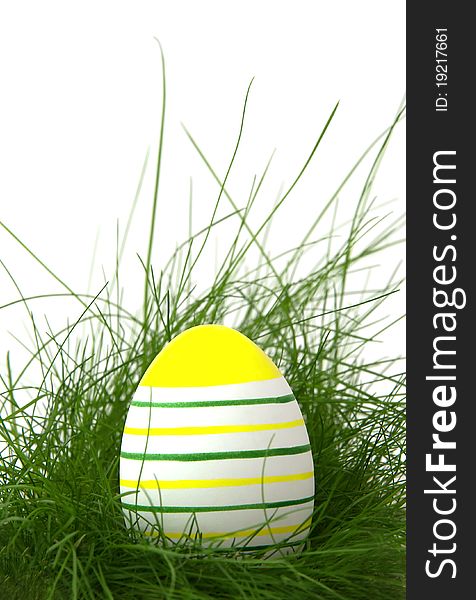 Striped easter egg in green grass on white background