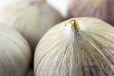 Wild Onion Garlic Royalty Free Stock Image Wild Onion Garlic Royalty Free Stock Image