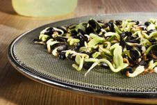 Sunflower Core In Sprouting Tray Royalty Free Stock Images Sunflower Core In Sprouting Tray Royalty Free Stock Images