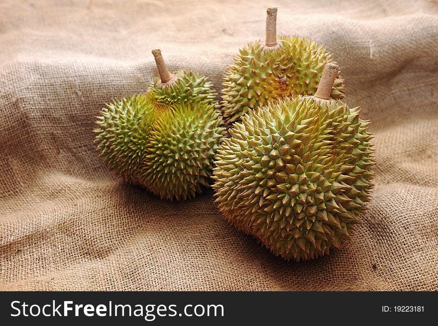 Durian fruit,an Asian fruit,warm climate fruit.on sack cloth. Durian fruit,an Asian fruit,warm climate fruit.on sack cloth.