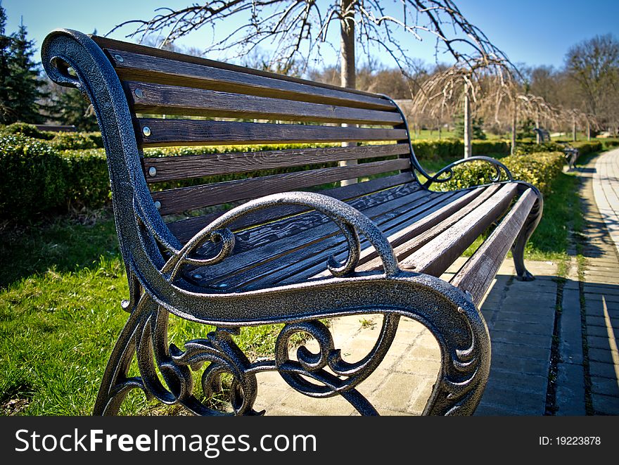 Bench in a park, green grass background