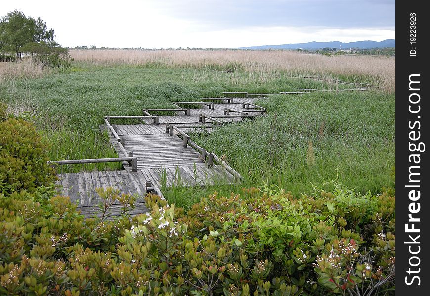 The footbridge to the lake in summer in Japan. The footbridge to the lake in summer in Japan