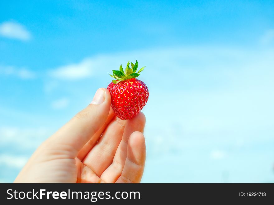 Red strawberry in humand hand - blue sky background. Red strawberry in humand hand - blue sky background