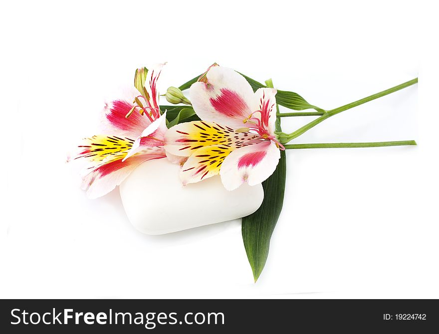 Pink orchid and white soap on a white background