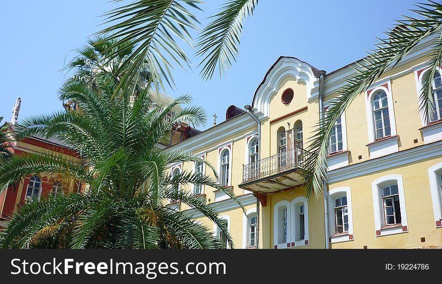 New Athos monastery and palms