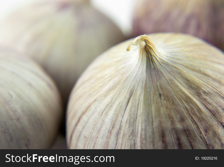 Wild onion - clove of garlic macro image. Wild onion - clove of garlic macro image