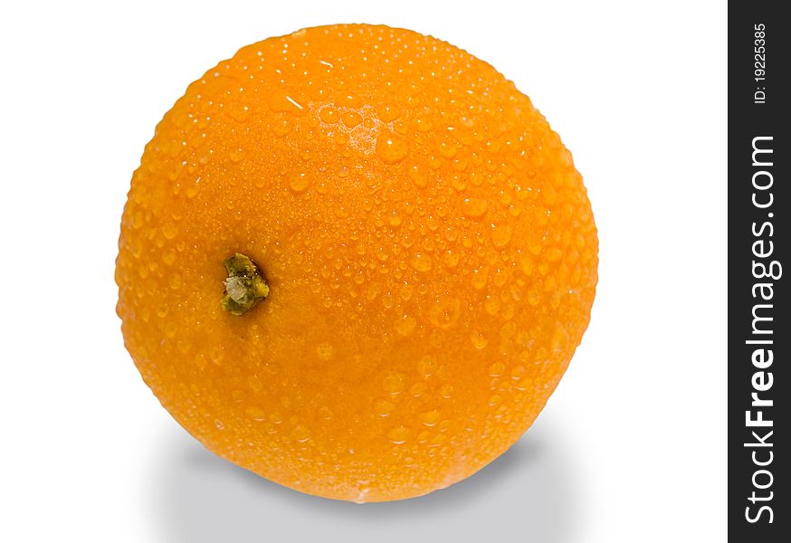 Big wet orange on the isolated background