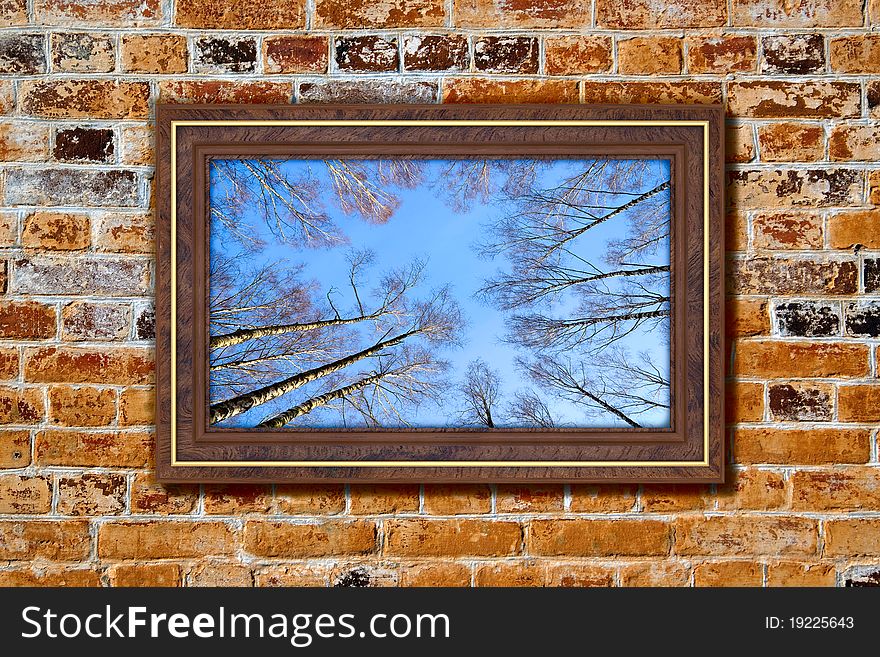 Frame to the nature