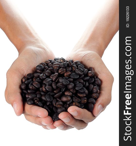 Hand holding a bunch of black coffee beans
