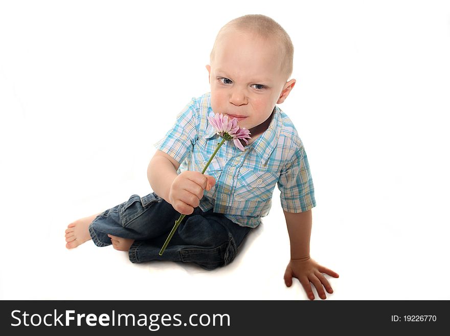 Toddler boy smells flower with funny face. Toddler boy smells flower with funny face