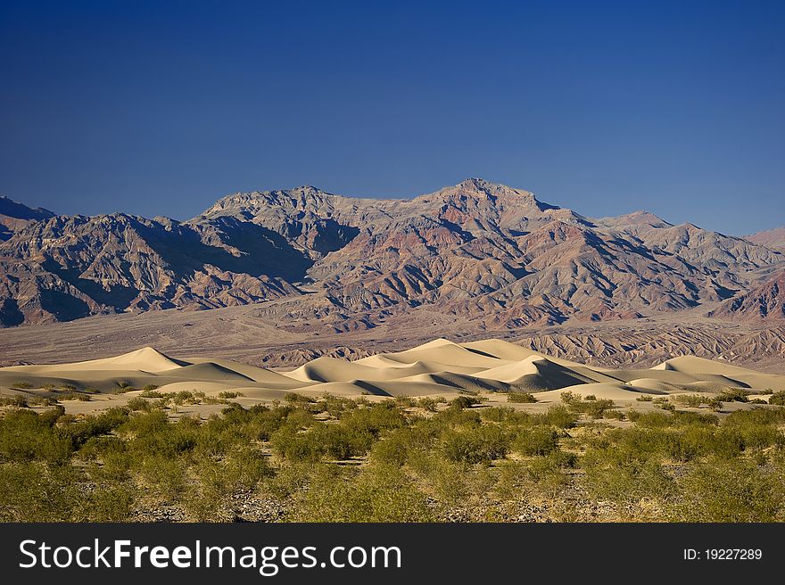 Beautiful desert scene with golden sand dunes in the distance at Death Valley National Park, California. Beautiful desert scene with golden sand dunes in the distance at Death Valley National Park, California