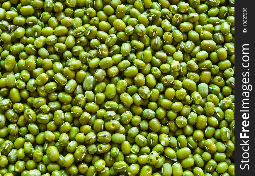 Green beans that have not been polished. Green beans that have not been polished.