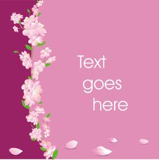 Floral Card In Pink Stock Image Floral Card In Pink Stock Image