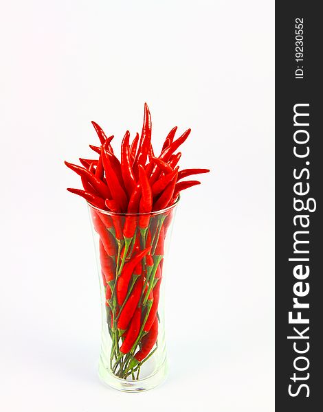 Red chili in glass on white background