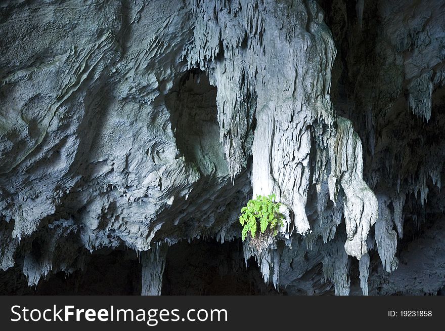 Entrance to the cave of Bue Marino, Orosei, Sardinia. Entrance to the cave of Bue Marino, Orosei, Sardinia