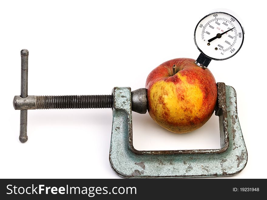 Apple with manometer in clamp. Apple with manometer in clamp
