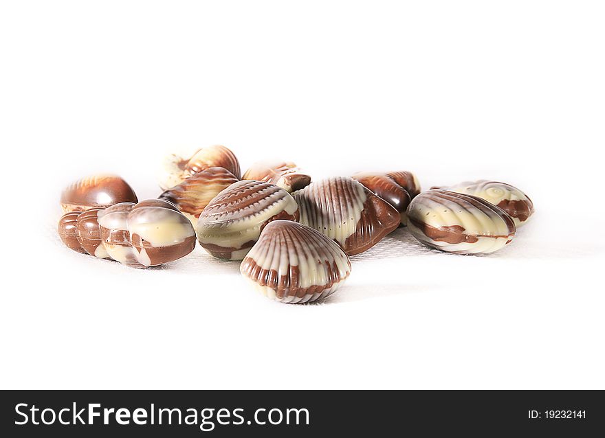 Sea Shell Chocolate