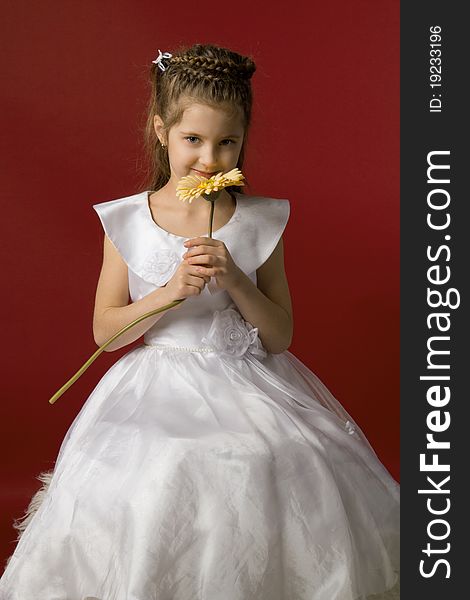 Photo of a little smiling girl in a white dress, smelling big yellow flower. Photo of a little smiling girl in a white dress, smelling big yellow flower