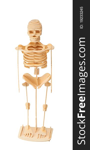 Wooden model of the skeleton isolated on a white background