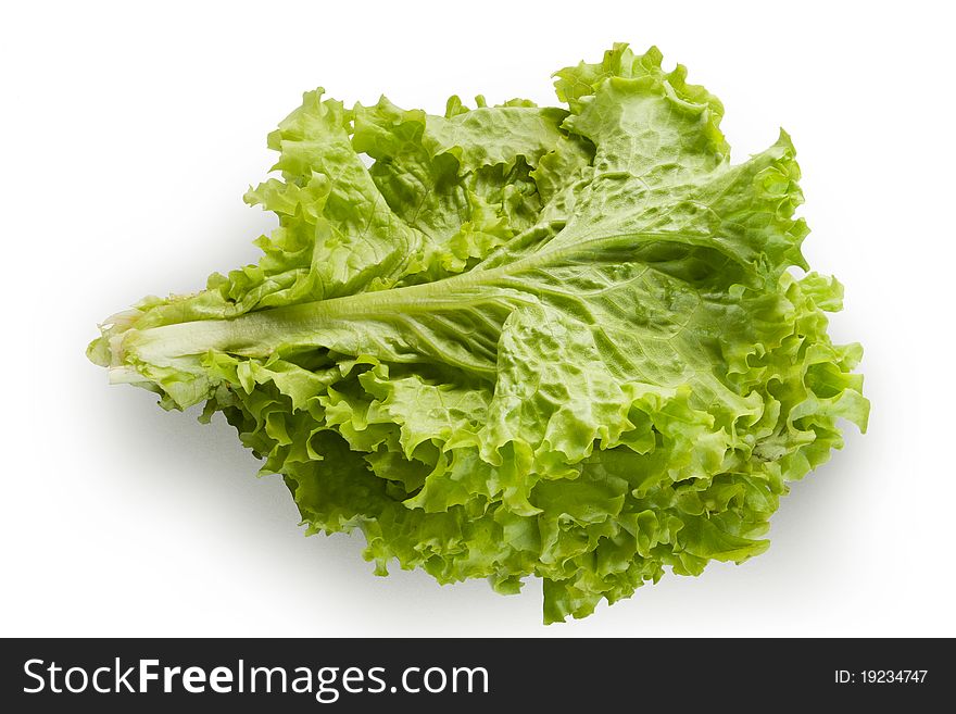 Lettuce leaves isolated on white