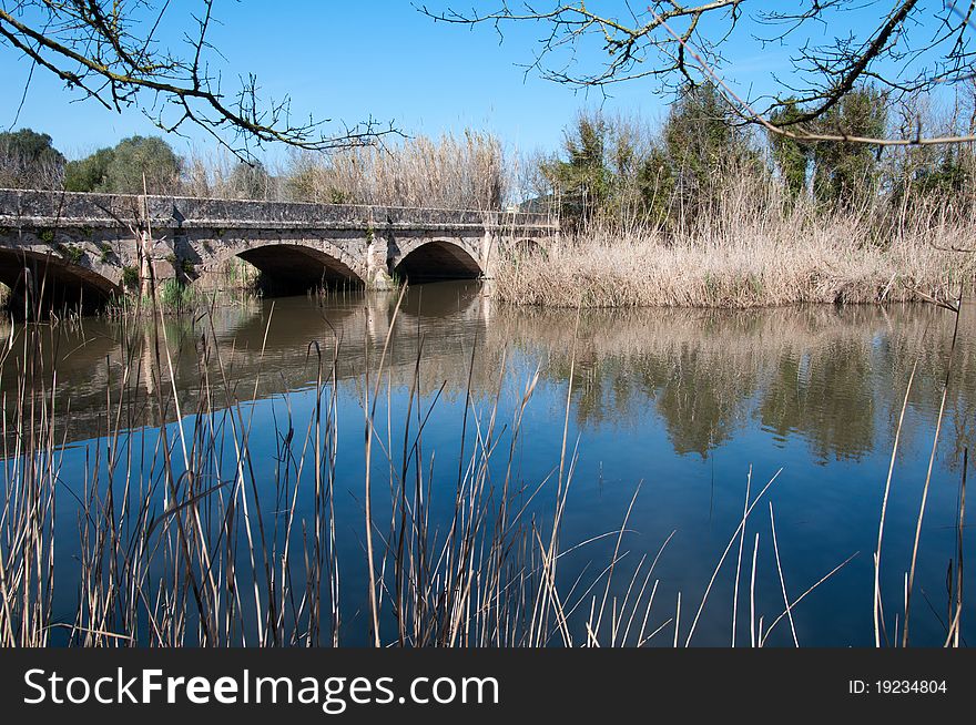 Image shows part of Parc Natural de s'Albufera de Majorca, Spain. On the left an historic stone bridge, a river with blue water on the right and some blue sky. Image shows part of Parc Natural de s'Albufera de Majorca, Spain. On the left an historic stone bridge, a river with blue water on the right and some blue sky.