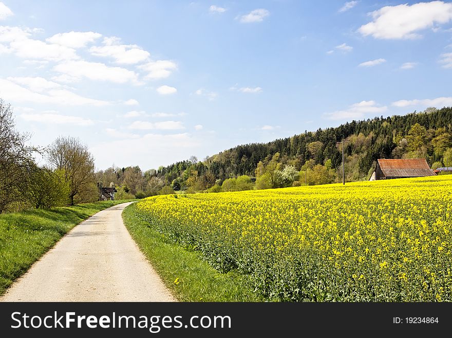 field and a long way in the country, WÃ¼rttemberg Germany. field and a long way in the country, WÃ¼rttemberg Germany