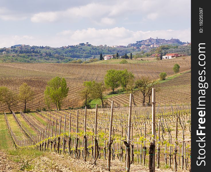 Landscape with Italian town in Tuscany, Montepulciano