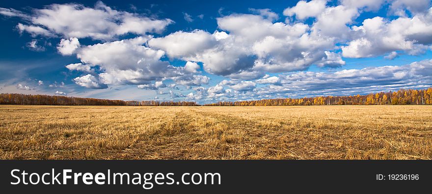 Panorama. Yellow splayed field of mowing with far off trees under blue sky and clouds. Panorama. Yellow splayed field of mowing with far off trees under blue sky and clouds.