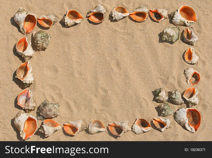 Frame maked of sea shells on sand. Frame maked of sea shells on sand.