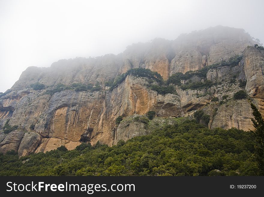 Mountain covered in fog